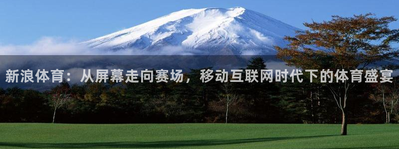 新浪体育：从屏幕走向赛场，移动互联网时代下的体育盛宴