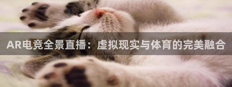 AR电竞全景直播：虚拟现实与体育的完美融合