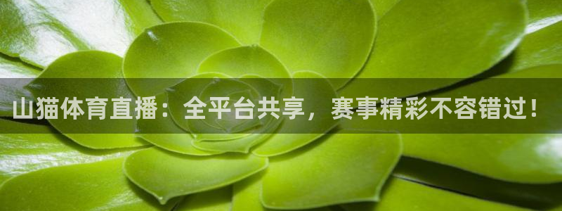 山猫体育直播：全平台共享，赛事精彩不容错过！