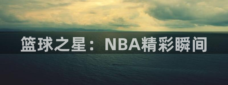 篮球之星：NBA精彩瞬间