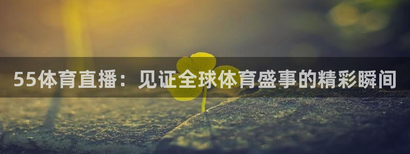 55体育直播：见证全球体育盛事的精彩瞬间