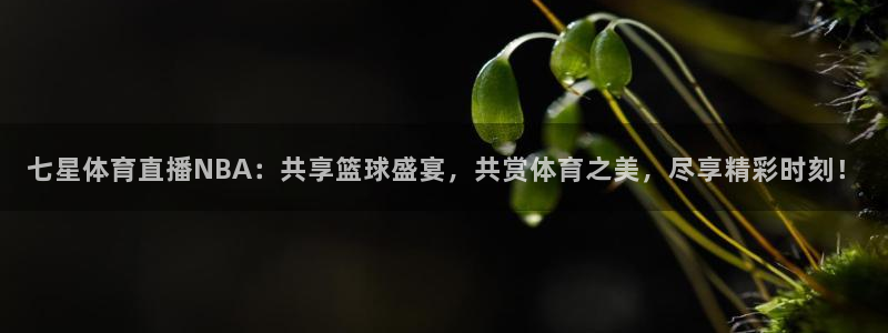 七星体育直播NBA：共享篮球盛宴，共赏体育之美，尽享精彩时刻！