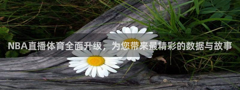 NBA直播体育全面升级，为您带来最精彩的数据与故事