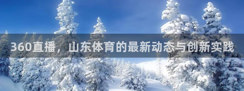 360直播，山东体育的最新动态与创新实践