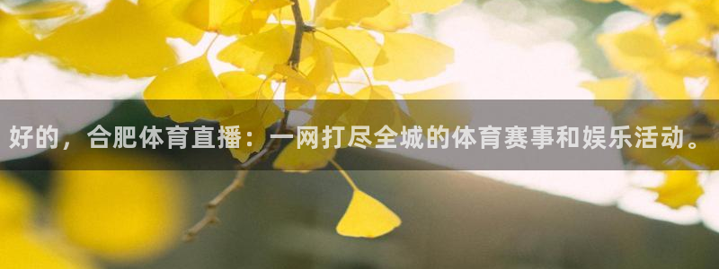 好的，合肥体育直播：一网打尽全城的体育赛事和娱乐活动。
