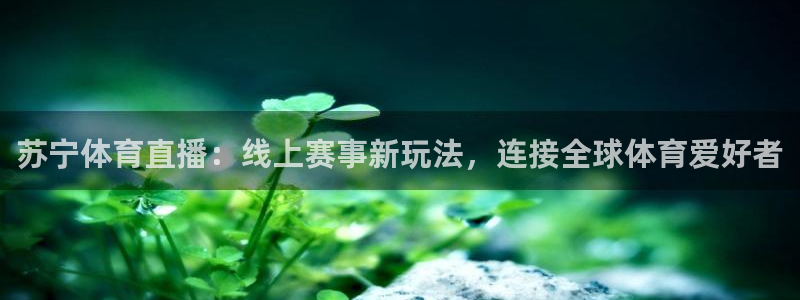 苏宁体育直播：线上赛事新玩法，连接全球体育爱好者