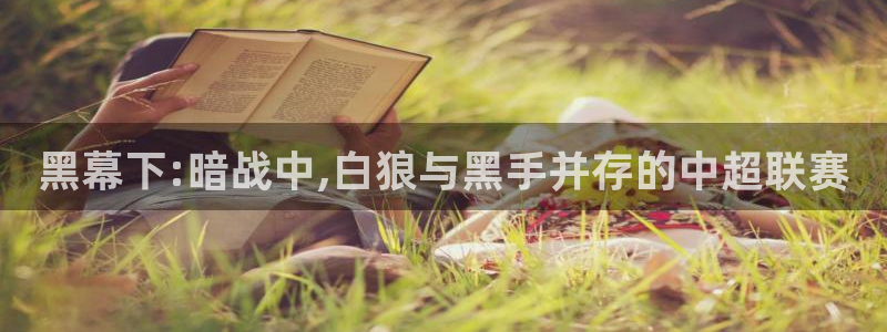 黑幕下:暗战中,白狼与黑手并存的中超联赛