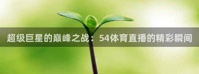 超级巨星的巅峰之战：54体育直播的精彩瞬间