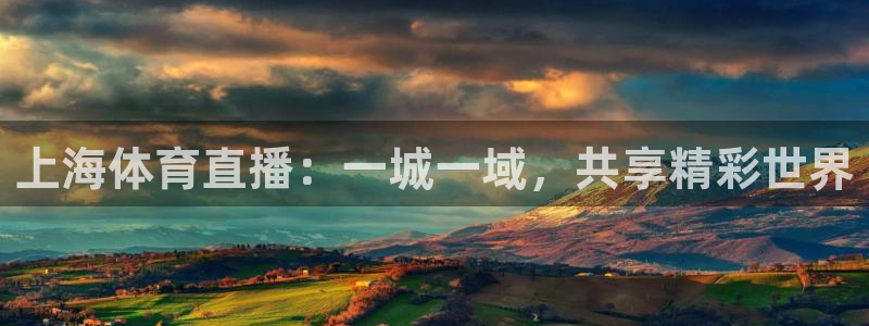 上海体育直播：一城一域，共享精彩世界