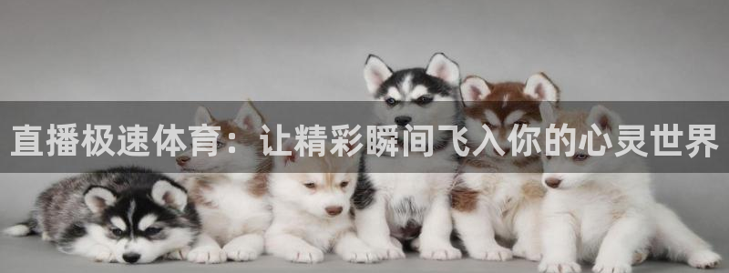 直播极速体育：让精彩瞬间飞入你的心灵世界