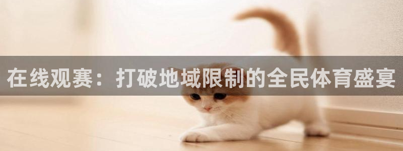 在线观赛：打破地域限制的全民体育盛宴