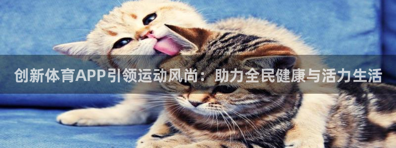 创新体育APP引领运动风尚：助力全民健康与活力生活