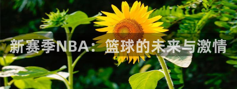 新赛季NBA：篮球的未来与激情