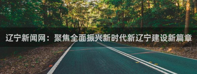 辽宁新闻网：聚焦全面振兴新时代新辽宁建设新篇章