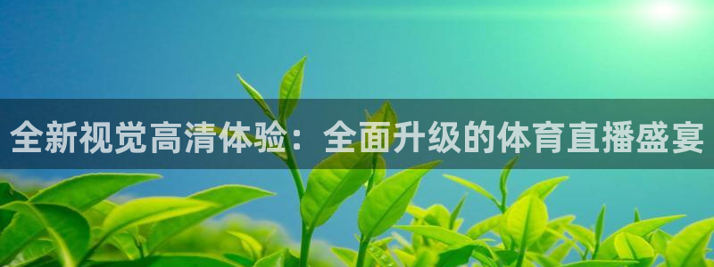 全新视觉高清体验：全面升级的体育直播盛宴