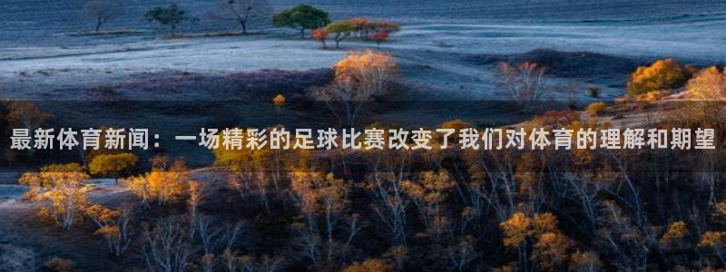 最新体育新闻：一场精彩的足球比赛改变了我们对体育的理解和期望