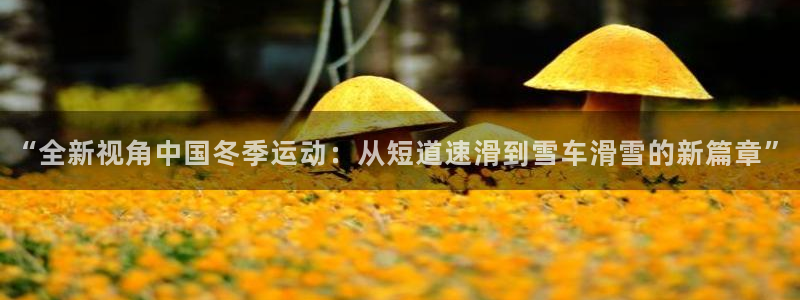 “全新视角中国冬季运动：从短道速滑到雪车滑雪的新篇章”