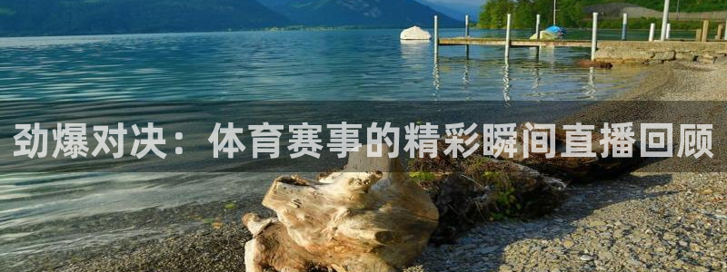 劲爆对决：体育赛事的精彩瞬间直播回顾