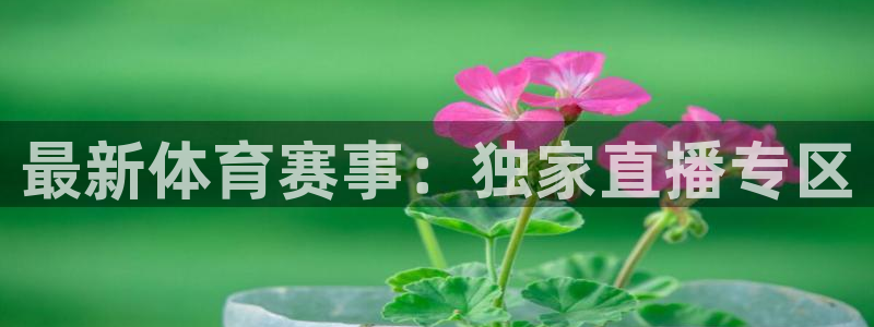 最新体育赛事：独家直播专区