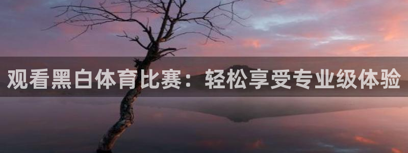 观看黑白体育比赛：轻松享受专业级体验