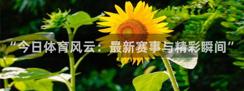 “今日体育风云：最新赛事与精彩瞬间”