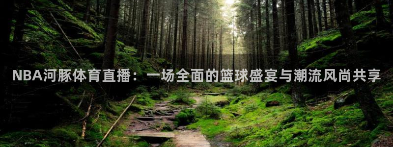 NBA河豚体育直播：一场全面的篮球盛宴与潮流风尚共享