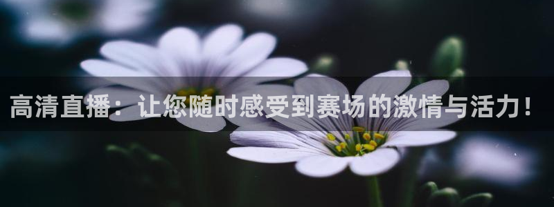 高清直播：让您随时感受到赛场的激情与活力！