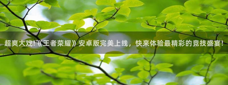 超爽大戏!《王者荣耀》安卓版完美上线，快来体验最精彩的竞技盛宴!