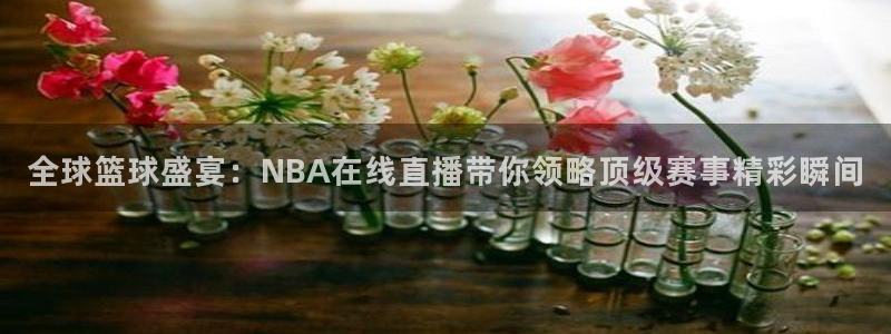 全球篮球盛宴：NBA在线直播带你领略顶级赛事精彩瞬间