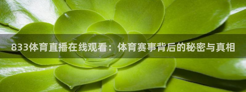 833体育直播在线观看：体育赛事背后的秘密与真相