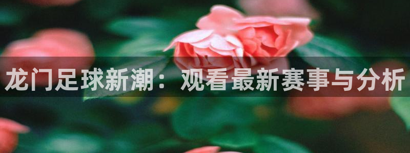 龙门足球新潮：观看最新赛事与分析