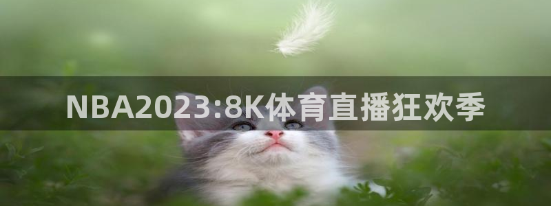NBA2023:8K体育直播狂欢季