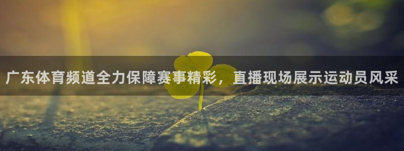 广东体育频道全力保障赛事精彩，直播现场展示运动员风采