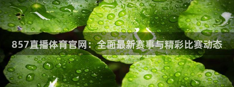 857直播体育官网：全面最新赛事与精彩比赛动态