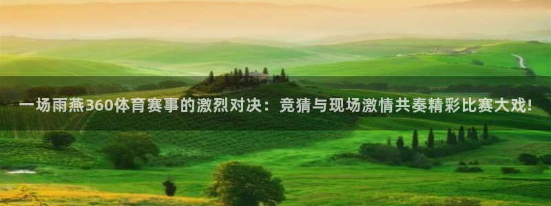 一场雨燕360体育赛事的激烈对决：竞猜与现场激情共奏精彩比赛大戏!
