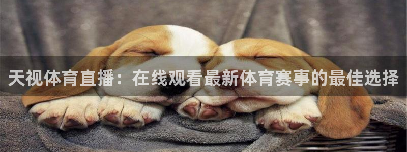 天视体育直播：在线观看最新体育赛事的最佳选择