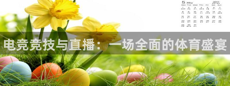电竞竞技与直播：一场全面的体育盛宴