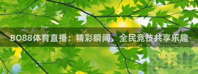 BO88体育直播：精彩瞬间，全民竞技共享乐趣
