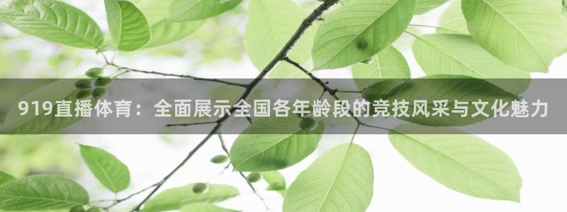 919直播体育：全面展示全国各年龄段的竞技风采与文化魅力