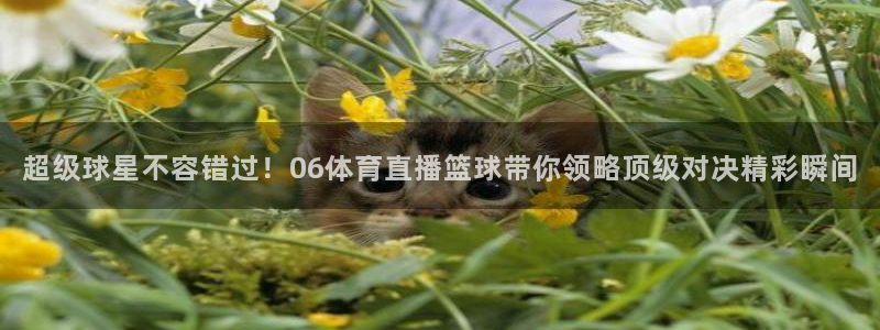 超级球星不容错过！06体育直播篮球带你领略顶级对决精彩瞬间
